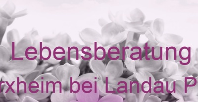Lebensberatung Herxheim bei Landau Pfalz | Top-Experten für Kartenlegen, Wahrsagen, Hellsehen, Zukunftsdeutung. Lebensberatung Herxheim bei Landau Pfalz | Top-Experten für Kartenlegen, Wahrsagen, Hellsehen, Zukunftsdeutung.
